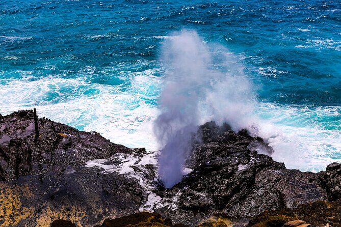 Grand Circle Island and Haleiwa 9 Hour Tour - FAQ