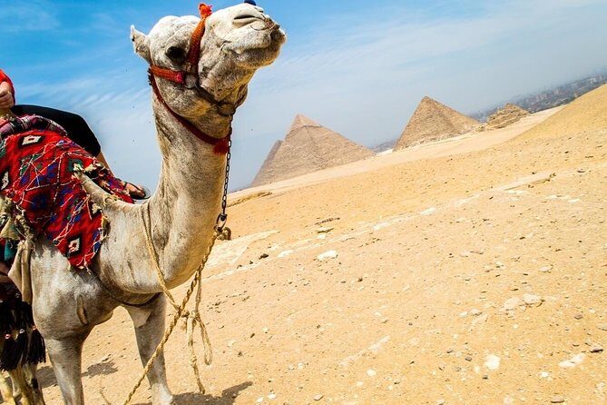 Grand Egyptian Museum & Saqqara & Memphis & Lunch Private Tour - Who Will Love This Tour?