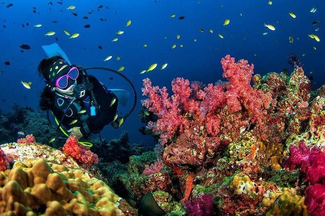 Grand Island Adventure: Diving and Water Sports Thrills - The Water Sports Extravaganza