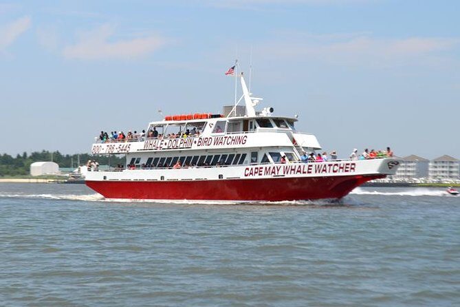Grand Lighthouse Tour from Cape May - The Itinerary: What to Expect