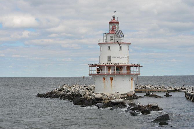 Grand Lighthouse Tour from Cape May - Who Should Consider This Tour?