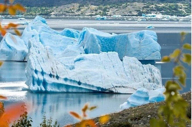 Grand Seward Ocean and Icebergs 1.5 hours 2 Landings Seward - Who Should Book This Tour?