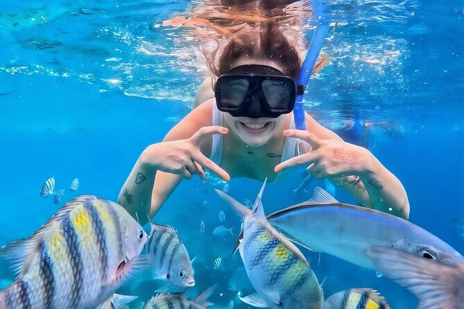 Grand Snorkeling Riviera Maya Private Tour - Key Points