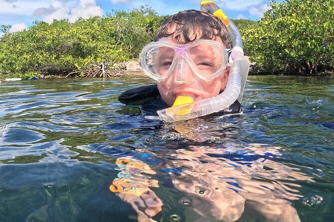 Grand Snorkeling Riviera Maya Private Tour - Introduction: What’s on Offer?