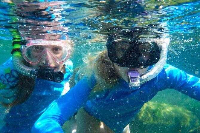 Grand Snorkeling Riviera Maya Private Tour - Pricing and Value Analysis