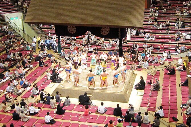 Grand Sumo Tournament Tour w/an English Guide ,Tokyo January 2026 - A Closer Look at the Sumo Tour Experience