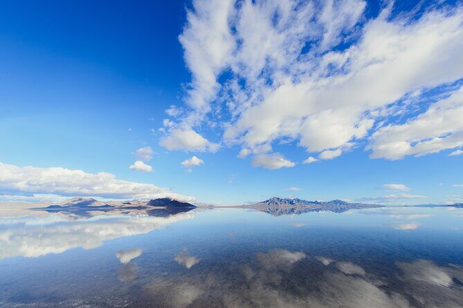 Grand Teton, Yellowstone, Devils Tower and Mount Rushmore 7-day Tour - An In-Depth Look at the 7-Day Tour