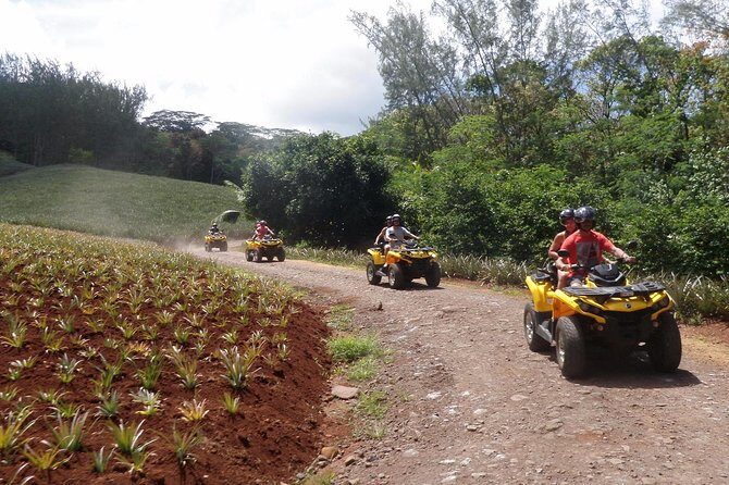 Grand Tour Quad Excursion in Moorea (Single or Two-Seater) - The Value of This Experience