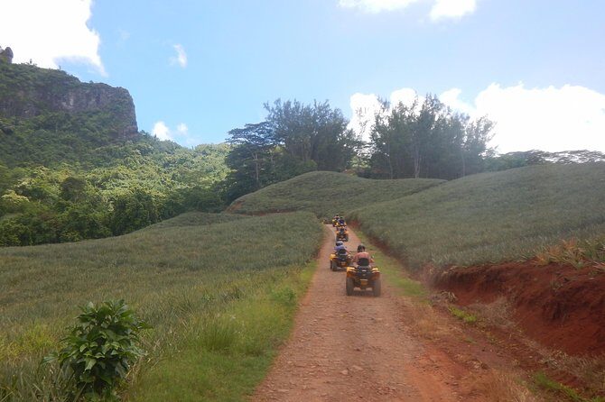 Grand Tour Quad Excursion in Moorea (Single or Two-Seater) - Final Thoughts
