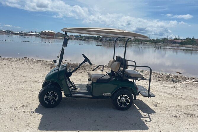 Grand Turk Golf Cart Rentals (CACTUS CARTS) - Who Would Love This Experience?