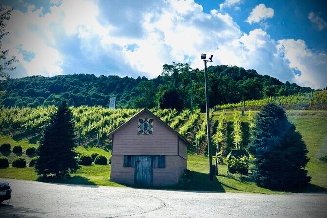 Grandfather Mountain Private Wine & Dine Tour from Asheville - What to Expect: Transportation, Group Size, and Value