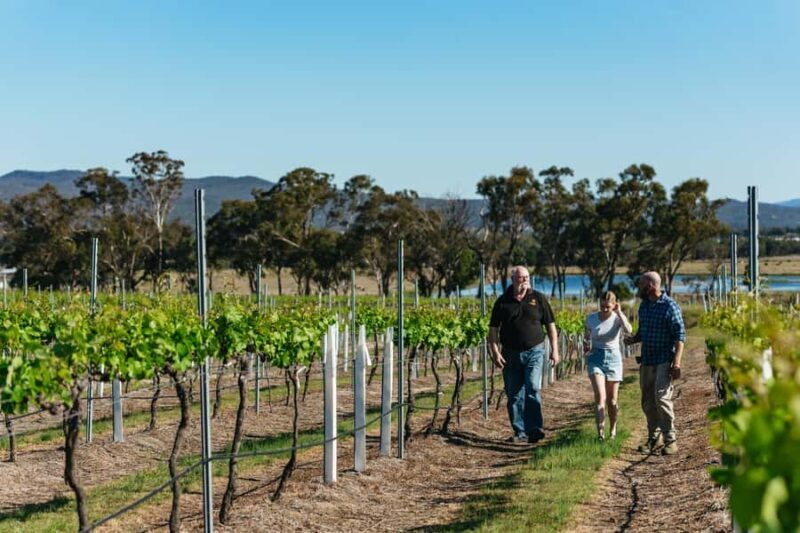 Granite Belt: Winemakers Winetasting Experience & Cheese - Key Points