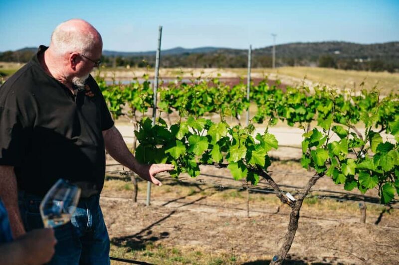 Granite Belt: Winemakers Winetasting Experience & Cheese - Frequently Asked Questions