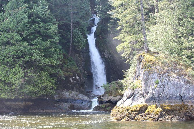 Granite Falls Zodiac Tour by Vancouver Water Adventures - What Travelers Say: Authentic Experiences from Reviews