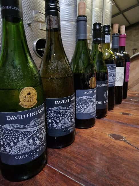 Grape Escapes: Wine Event of a Special Kind in Durbanville - An In-Depth Look at the Grape Escapes Tour