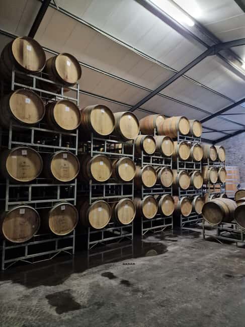 Grape Escapes: Wine Event of a Special Kind in Durbanville - Practical Details & Tips for Travelers