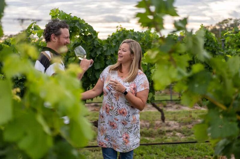 Grape to Glass Master Class - Key Points