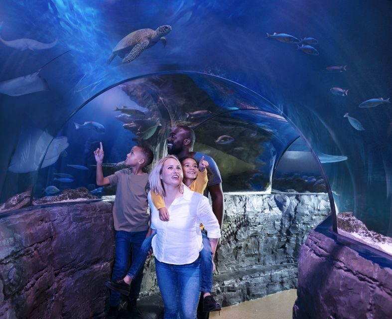 Grapevine: SEA LIFE Grapevine Aquarium General Admission - What To Expect During Your Visit