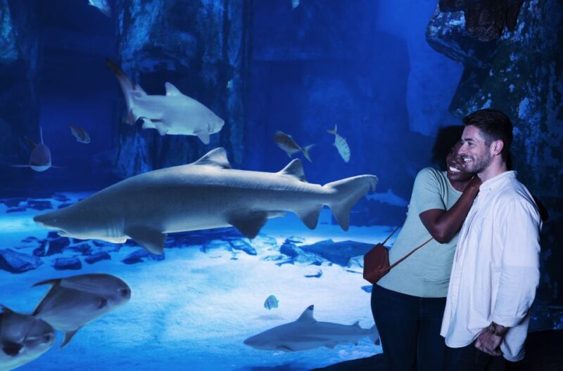 Grapevine: SEA LIFE Grapevine Aquarium General Admission - Analyzing the Value