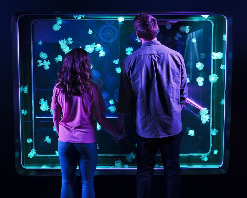 Grapevine: SEA LIFE Grapevine Aquarium General Admission - Final Thoughts