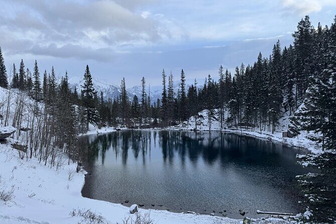 Grassi Lake and Grotto Canyon Small Group Half-Day Tour in Banff - Why This Tour Offers Great Value