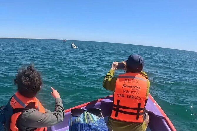 Gray Whale Tour Private Group from La Paz Limited to 8 - Practical Details: Transportation, Timing, and Logistics