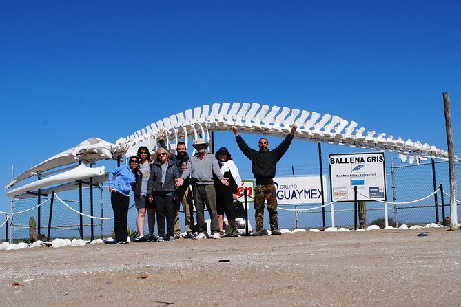 Gray Whale-Watching 2-Day Experience in Magdalena Bay - Who Will Love This Tour?
