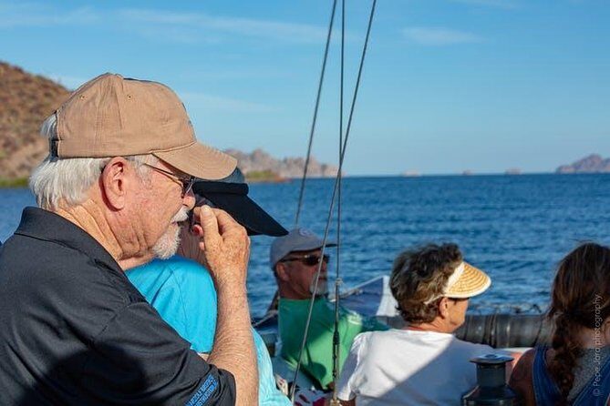 Gray Whale Watching Tour at Lopez Mateos - An Overview of the Whale Watching Adventure