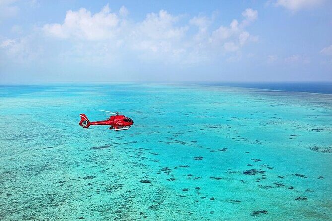 Great Barrier Reef 30-Minute Scenic Helicopter Tour from Cairns - Final Thoughts