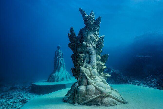 Great Barrier Reef and MOUA Snorkeling Day Tour from Townsville - Key Points