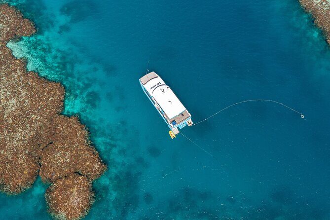 Great Barrier Reef and MOUA Snorkeling Day Tour from Townsville - A Closer Look at the Experience