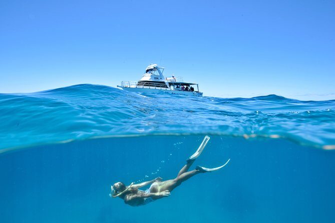 Great Barrier Reef Cruise from Townsville or Magnetic Island - Key Points