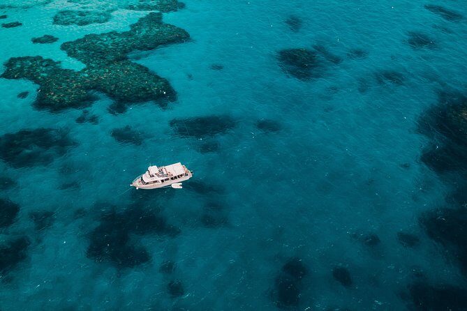 Great Barrier Reef Cruise from Townsville or Magnetic Island - Getting Ready for Your Reef Adventure