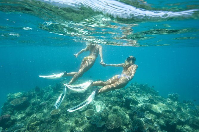 Great Barrier Reef Cruise from Townsville or Magnetic Island - Who Will Love This Tour