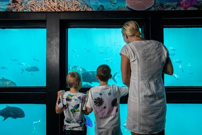 Great Barrier Reef Full Day Adventure - What to Expect on Your Day at the Reef