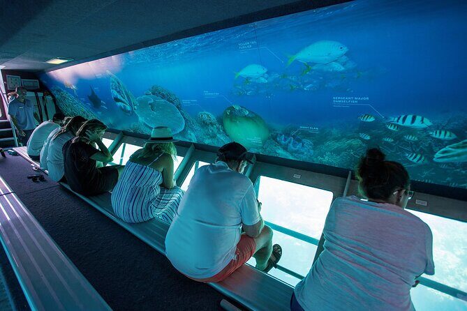Great Barrier Reef Full Day Adventure - Practical Tips for a Great Day