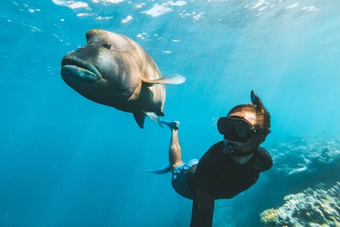 Great Barrier Reef Full Day Adventure - The Sum Up