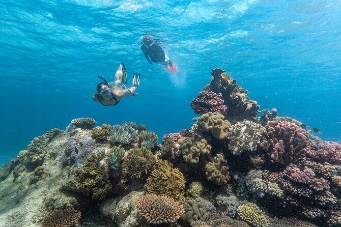 Great Barrier Reef Full Day Tour from Cairns - The Itinerary: What to Expect on Your Reef Day