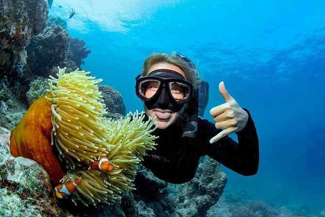 Great Barrier Reef Full Day Tour from Cairns - The Sum Up: Who Is This Tour Best For?
