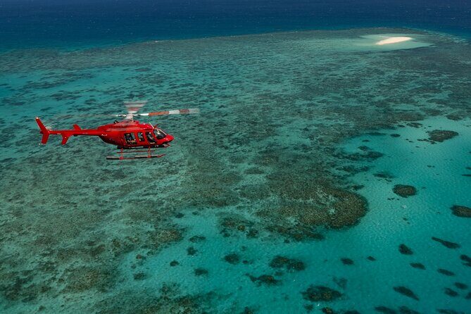 Great Barrier Reef or Rainforest Scenic Flights from Port Douglas - The Flight Itself: What to Expect