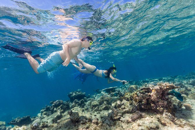 Great Barrier Reef Snorkeling and Diving Cruise from Cairns - FAQs