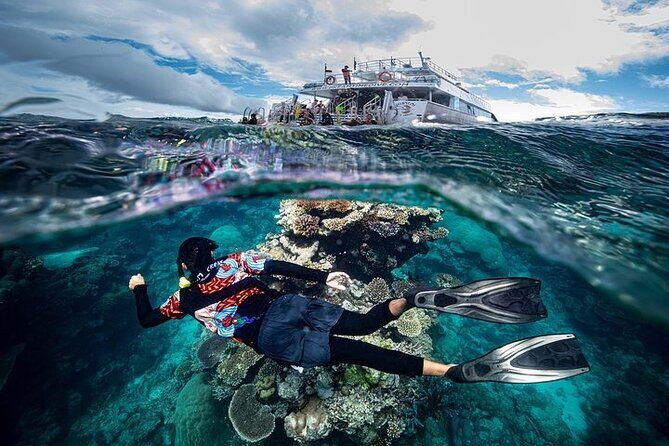 Great Barrier Reef with Cultural Guides-Dreamtime Dive & Snorkel - What’s Included and What’s Not