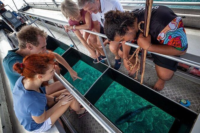 Great Barrier Reef with Cultural Guides-Dreamtime Dive & Snorkel - The Experience: What Travelers Say