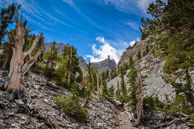 Great Basin National Park Self-Guided Audio Tour - The Sum Up