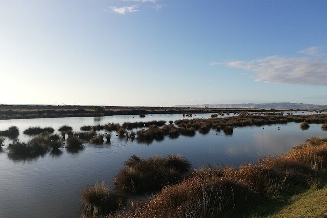 Great Escape Self-Guided Scenic Cycle Winery Tour from Napier - Key Points