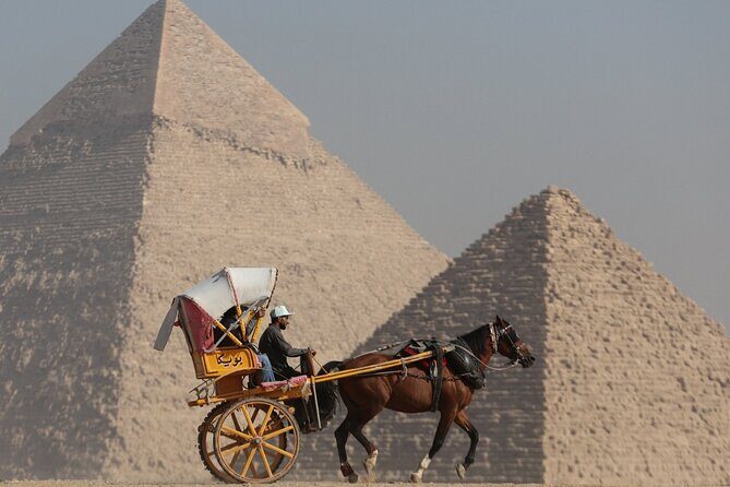 Great Grand Egyptian Museum with professional Egyptologist. - Who Will Enjoy This Tour?
