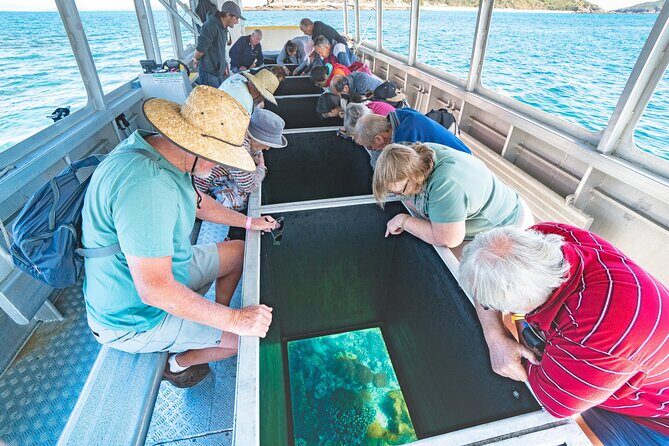 Great Keppel Island Adventure Tour - Snorkel and Boomnet - An In-Depth Look at the Tour