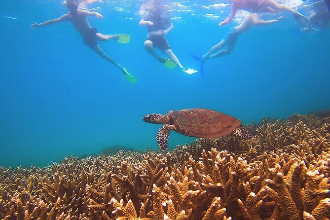 Great Keppel Island Day Trip with Lunch - The Itinerary: What to Expect