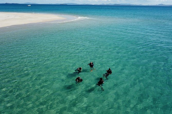 Great Keppel Island PADI Discover Scuba Dive with Keppel Dive - What Makes This Tour Stand Out