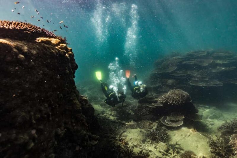 Great Keppel Island: PADI Discover SCUBA Diving - FAQ